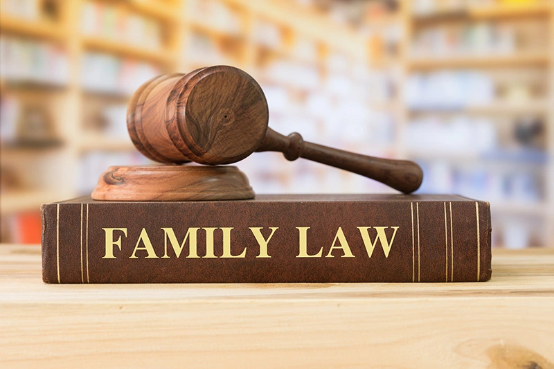 Family Lawyer: Advice For Legal Matters