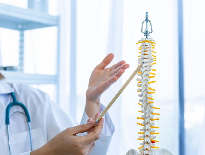 Discover The Best Spine Alignment Specialist Near You